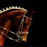 Картина Swarovski "Конь" 2348-gf - Картина Swarovski "Конь" 2348-gf