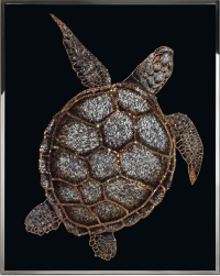 Картина Swarovski &quot;Морская черепаха&quot; cherepakha-gf