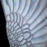 Картина Swarovski "Крылья" 2045-gf - Картина Swarovski "Крылья" 2045-gf