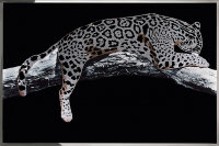 Картина Swarovski &quot;Серебряный леопард&quot; serebryanyy-leopard-gf