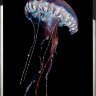 Картина Swarovski "Синяя медуза" sinyaya-meduza-gf - Картина Swarovski "Синяя медуза" sinyaya-meduza-gf