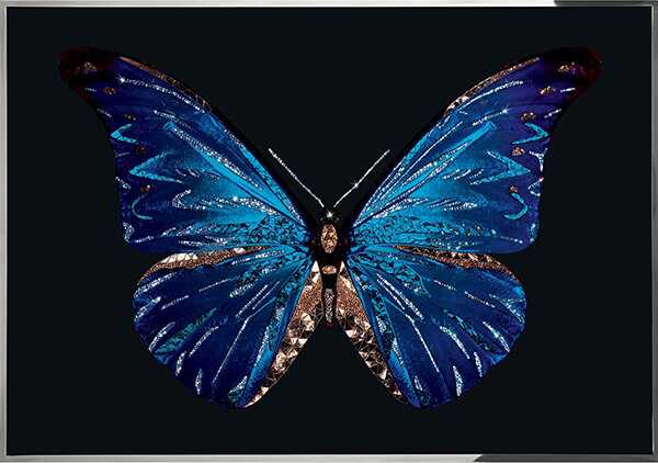 Картина Swarovski "Синяя бабочка" sinyaya-babochka-gf