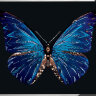 Картина Swarovski "Синяя бабочка" sinyaya-babochka-gf - Картина Swarovski "Синяя бабочка" sinyaya-babochka-gf