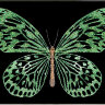 Картина Swarovski "Зеленая бабочка" zelenaya-babochka-gf - Картина Swarovski "Зеленая бабочка" zelenaya-babochka-gf