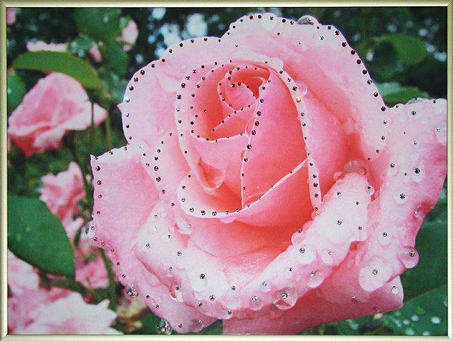 Картина Swarovski &quot;Утренняя роза&quot; Y-110 Картина станет отличным подарком женщине на любой из праздников и займет достойное место в интерьере.
