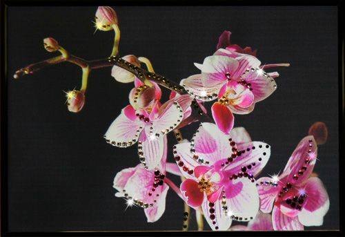 Картина Swarovski &quot;Маленькая орхидея&quot; M-308-gf Проступающая красота данного художественного творения преподнесет владелице удивительное эстетическое наслаждение.