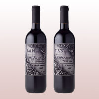 Пара оловянных декоративных орнаментов на бутылку вина &quot;Виноградная лоза&quot; STNM-024
