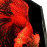 Картина Swarovski "Красная рыба" 2349-gf - Картина Swarovski "Красная рыба" 2349-gf